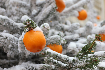 Toy tangerines on Christmas tree covered with snow. New Year decorations