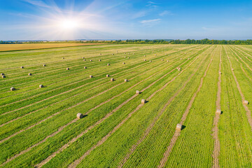 Sunrise over green farmland with hay bales arranged in long harvest rows © Ryzhkov Oleksandr