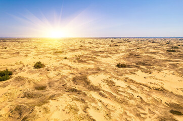Endless golden dunes under bright sunlight