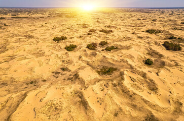 Endless golden dunes under bright sunlight