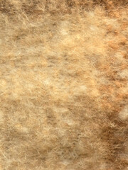 Warm Brown Fibrous Texture