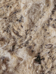 Close-up of Rough Fibrous Texture with Dark Inclusions