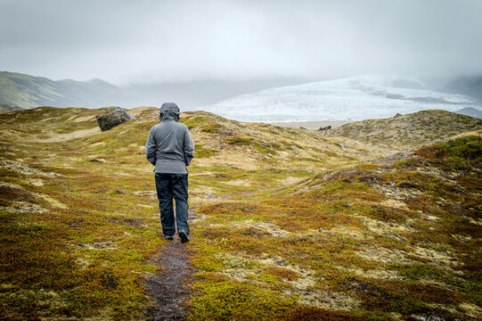 Iceland travel - rear view of a man hiking across a moss covered path to Svínafellsjökull Glacier tongue, Skaftafell, Vatnajökull National Park on a cloudy raining summer day.. - Powered by Adobe