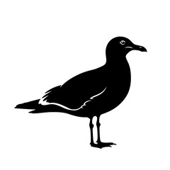 Obraz premium Stylized whisk illustration in vibrant colors