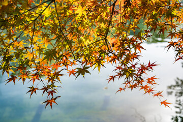 Colorful Autumn Foliage Reflected on West Lake in Hangzhou