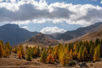 Couleurs flamboyantes de l'automne en montagne 