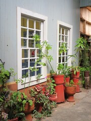stylish patio in a house with pots of flowers, Mexico