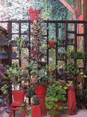 stylish patio in a house with pots of flowers, Mexico