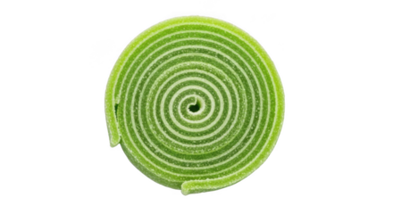 Bright green plant leaf spiral design captivating nature pattern organic shape botanical beauty detail transparent background