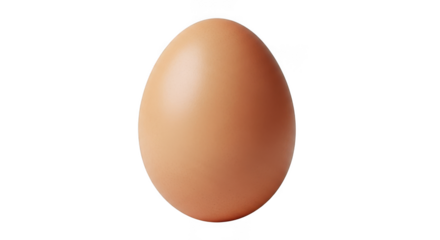 A single brown egg centered against a stark black background isolated for detail transparent background black background
