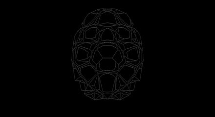 Geometric geodesic dome structure wireframe on black polygon