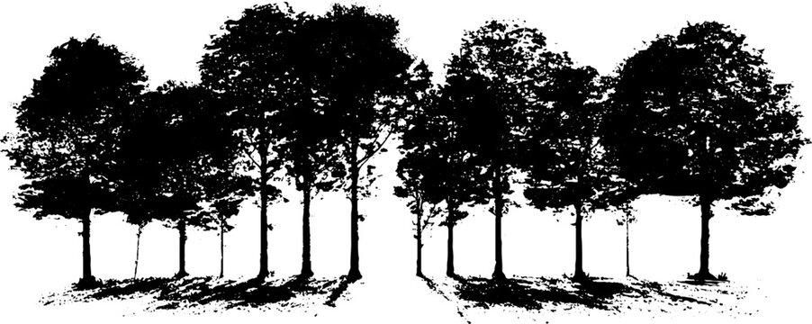 Black and white stencil illustration of a narrow forest path with tall trees