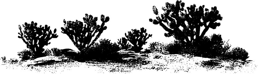 Obraz premium Black and white desert shrubs stencil illustration for design