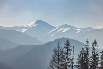 Tatra Mountains above Zakopane town in Poland, Europe. Misty mountain range under a soft sky, with snow-dusted peaks and silhouettes of trees in the foreground. Nature's quiet majesty.