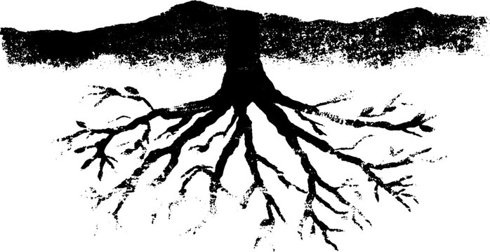 Black and white tree roots stencil illustration for nature and design