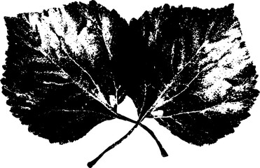 Black and white stencil illustration of two overlapping curled leaves for nature design