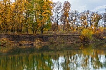 beautiful autumn landscape with river and forest, yellow leaves on trees, cloudy weather
