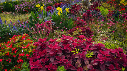 Vibrant flower garden showcasing diverse blooms and lush foliage in full spring splendor