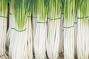 Bunches of Leeks or Spring Onions