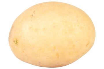 One potato isolated on white background