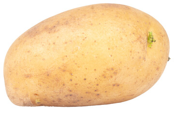 One potato isolated on white background