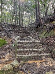 Ancient stone steps in forest trail Japan