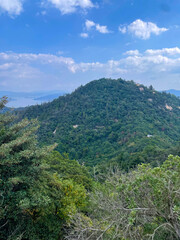 Green forest mountain peak under blue sky