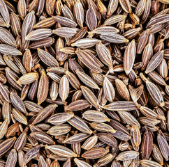 Close up cumin seeds showing natural aromatic spice texture and organic food detail