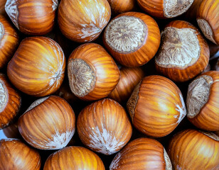 Close up hazelnuts surface showing natural nut texture and organic food detail