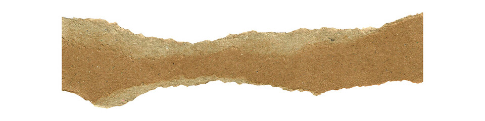 Torn paper isolated on white background. Close up of ripped paper with texture showing.  , transparent background
