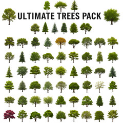 Fototapeta premium Ultimate collection of diverse isolated tree assets perfect for architectural visualization and landscape design projects