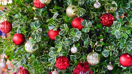 Christmas decorations on the tree