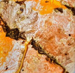 Close up turmeric root surface showing natural spice texture and organic plant food detail