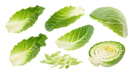 Fresh green cabbage leaves and sliced cabbage pieces arranged on a transparent background