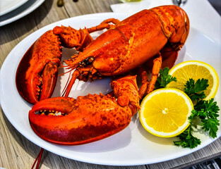 Cooked Lobster with Red Shell and Lemon on Plate for Premium Seafood Food Object and Gourmet Concept