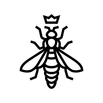 bee queen crown icon line icon vector illustration