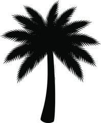 Tropical Palm Tree Silhouette Vector