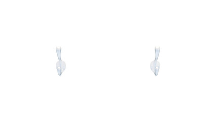 Two metal wall hooks isolated on a transparent background. Minimalistic glossy coat hangers for interior design, hardware catalogs, product mockups, and home organization visuals. 3d render, png file