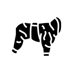 rain suit for dogs glyph icon vector illustration