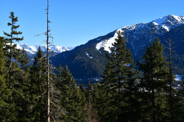 Sch&ouml;ne Landschaft bei Seefeld inTirol