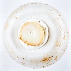 White Button Mushroom Isolated on White Background, Common Edible Fungi Representing Everyday Cooking and Healthy Food Concept