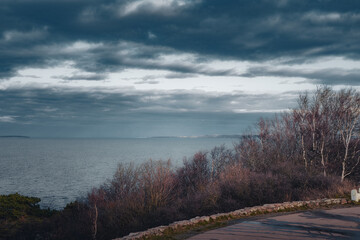 A scenic wide-angle view over the calm ocean from a high vantage point on Kullaberg, Sweden. The foreground features a winding road edge and a grove of dormant trees and brush, including birch trunks,
