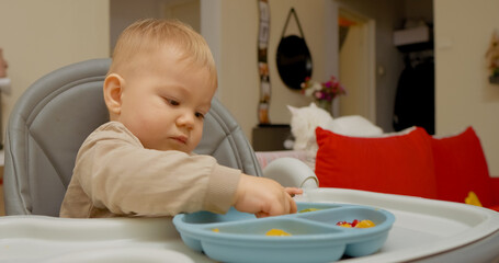 Fototapeta premium Child happily eats a variety of colorful fruits in his high chair at home. The cozy atmosphere features a playful mix of decor as he enjoys his nutritious snack.