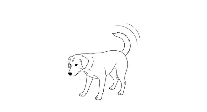 White outline dog on black background wagging tail