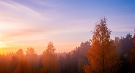 Vibrant sunrise over a forest of trees with warm orange and purple hues