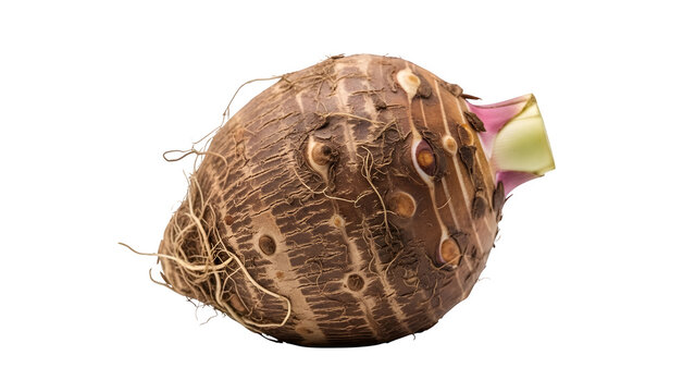 Taro root, isolated on white or transparent background. PNG
