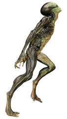3D Rendering Green Alien on White