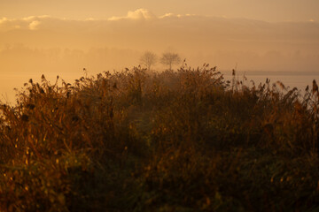 Wschód słońca zimą n Śląsku, z Beskidami w tle.  © Elżbieta Kaps