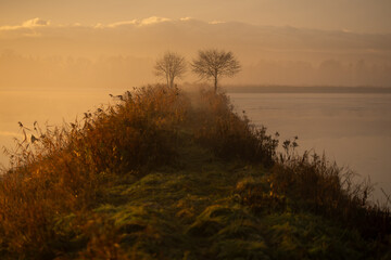 Wschód słońca zimą n Śląsku, z Beskidami w tle.  © Elżbieta Kaps