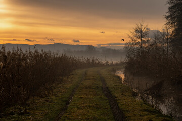 Wschód słońca zimą n Śląsku, z Beskidami w tle.  © Elżbieta Kaps